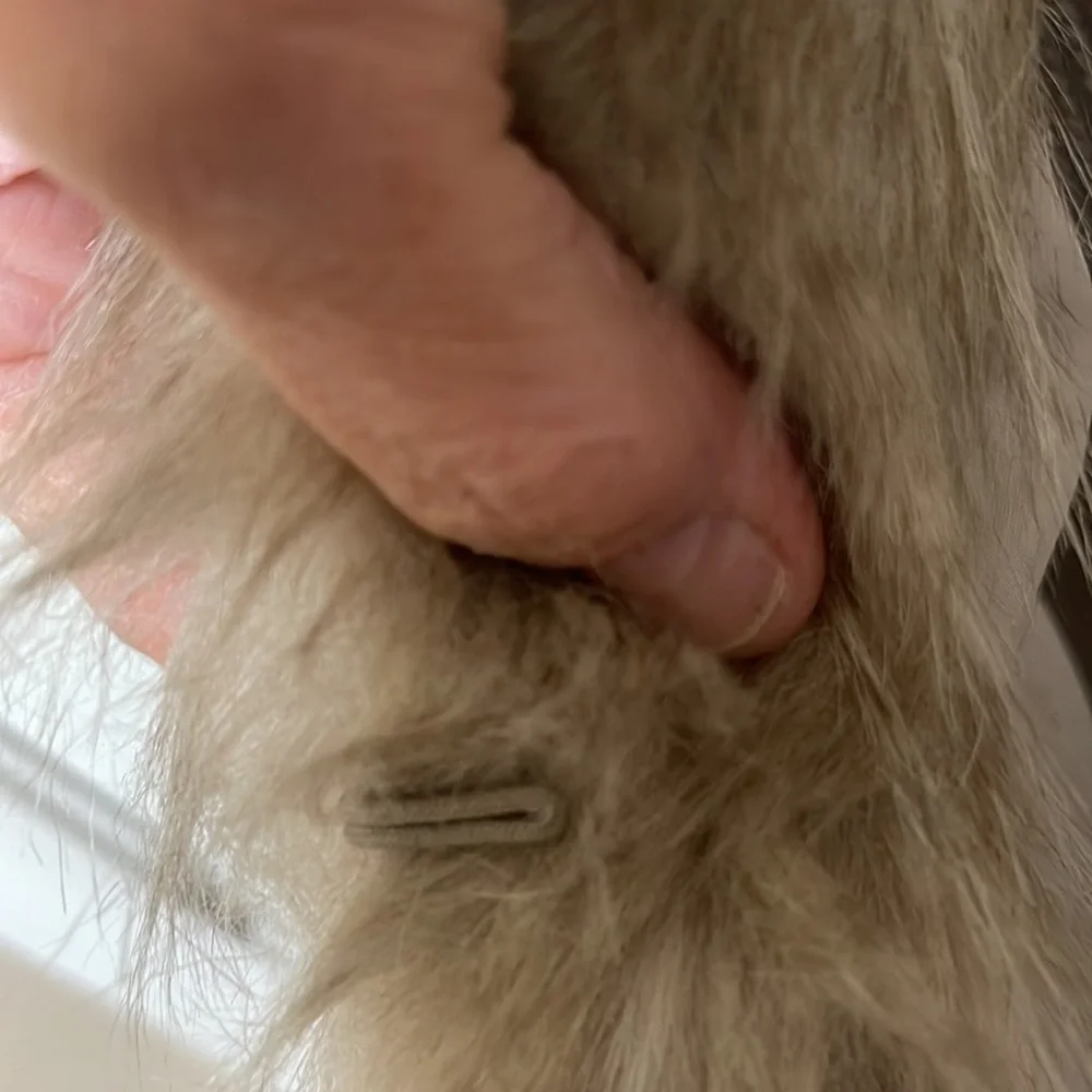 Shelby collection Faux fur Vest with knitted back - Picture 4 of 7